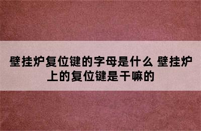 壁挂炉复位键的字母是什么 壁挂炉上的复位键是干嘛的